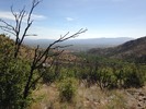 photo thumbnail #4