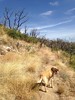 photo thumbnail #15