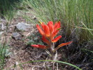 photo thumbnail #4