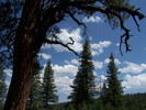 photo thumbnail #6