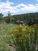 photo thumbnail #9