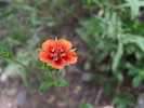 photo thumbnail #15