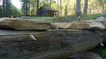 photo thumbnail #6