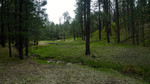 photo thumbnail #8