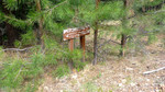 photo thumbnail #10