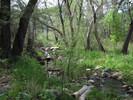 photo thumbnail #1