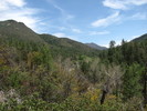 photo thumbnail #12