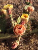 photo thumbnail #6
