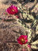 photo thumbnail #10