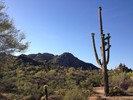 photo thumbnail #2