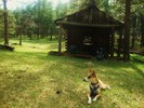 photo thumbnail #5