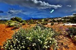 photo thumbnail #2
