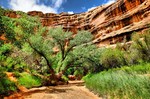 photo thumbnail #4