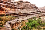 photo thumbnail #13