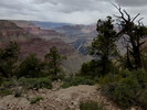photo thumbnail #15