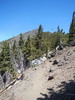 photo thumbnail #1