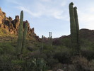 photo thumbnail #2