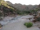 photo thumbnail #8