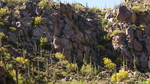 photo thumbnail #12