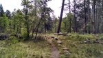 photo thumbnail #1