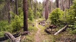 photo thumbnail #6