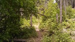 photo thumbnail #12