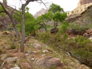 photo thumbnail #6