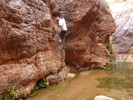 photo thumbnail #12