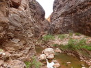photo thumbnail #14