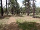 photo thumbnail #2