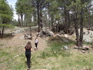photo thumbnail #3