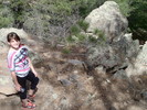 photo thumbnail #10
