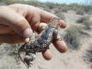 photo thumbnail #6