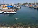 photo thumbnail #13