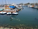 photo thumbnail #14