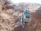 photo thumbnail #13