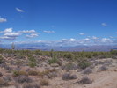 photo thumbnail #2