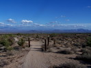 photo thumbnail #5