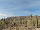 photo thumbnail #1