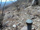 photo thumbnail #2