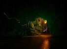 photo thumbnail #12