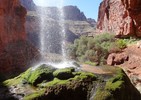 photo thumbnail #14