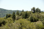 photo thumbnail #11