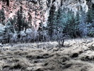 photo thumbnail #15