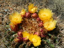 photo thumbnail #1
