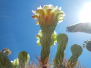 photo thumbnail #4
