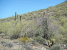 photo thumbnail #7