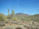 photo thumbnail #11