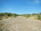 photo thumbnail #12