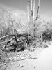 photo thumbnail #13